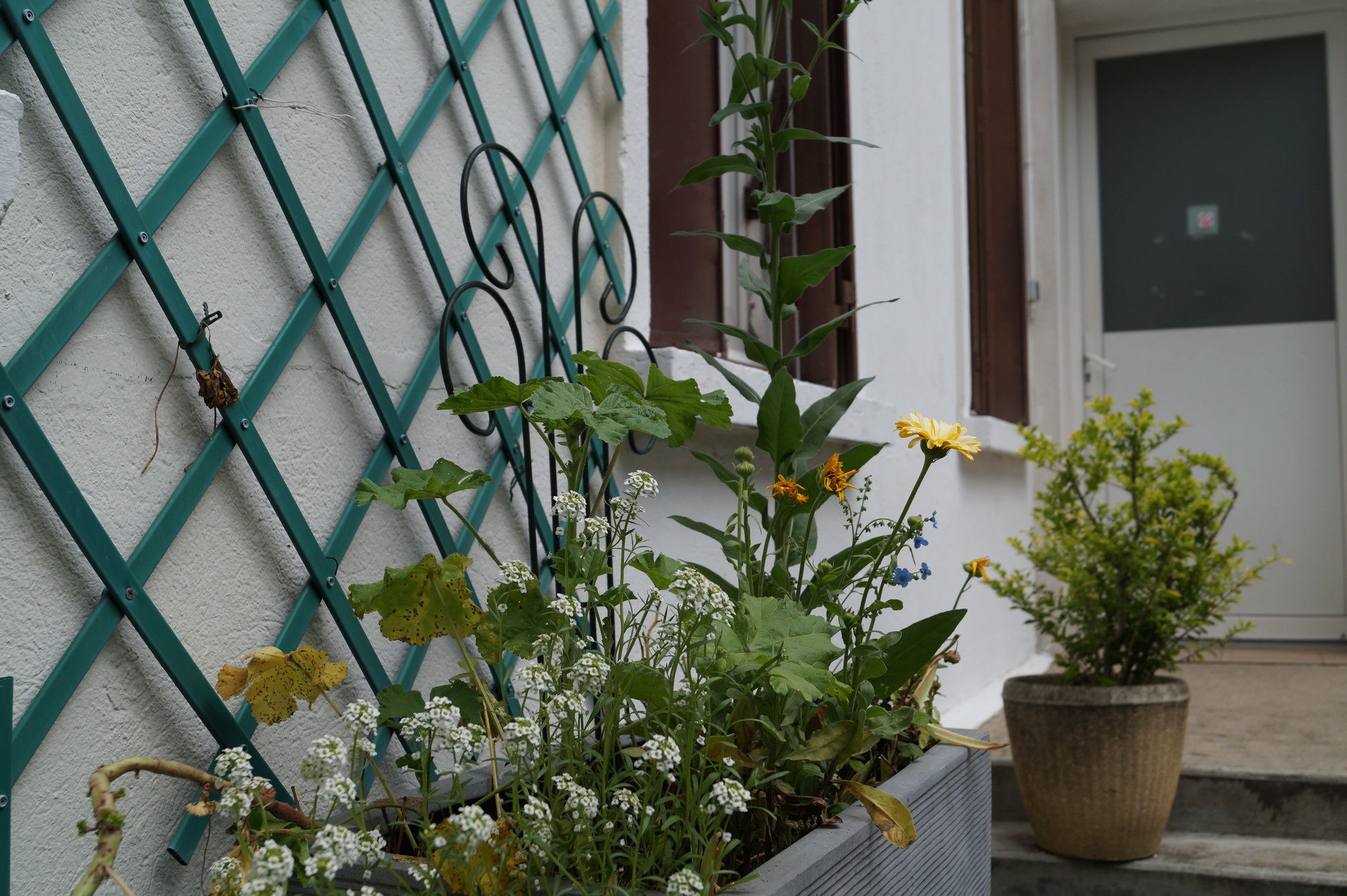 Фото Hôtel de Verdun