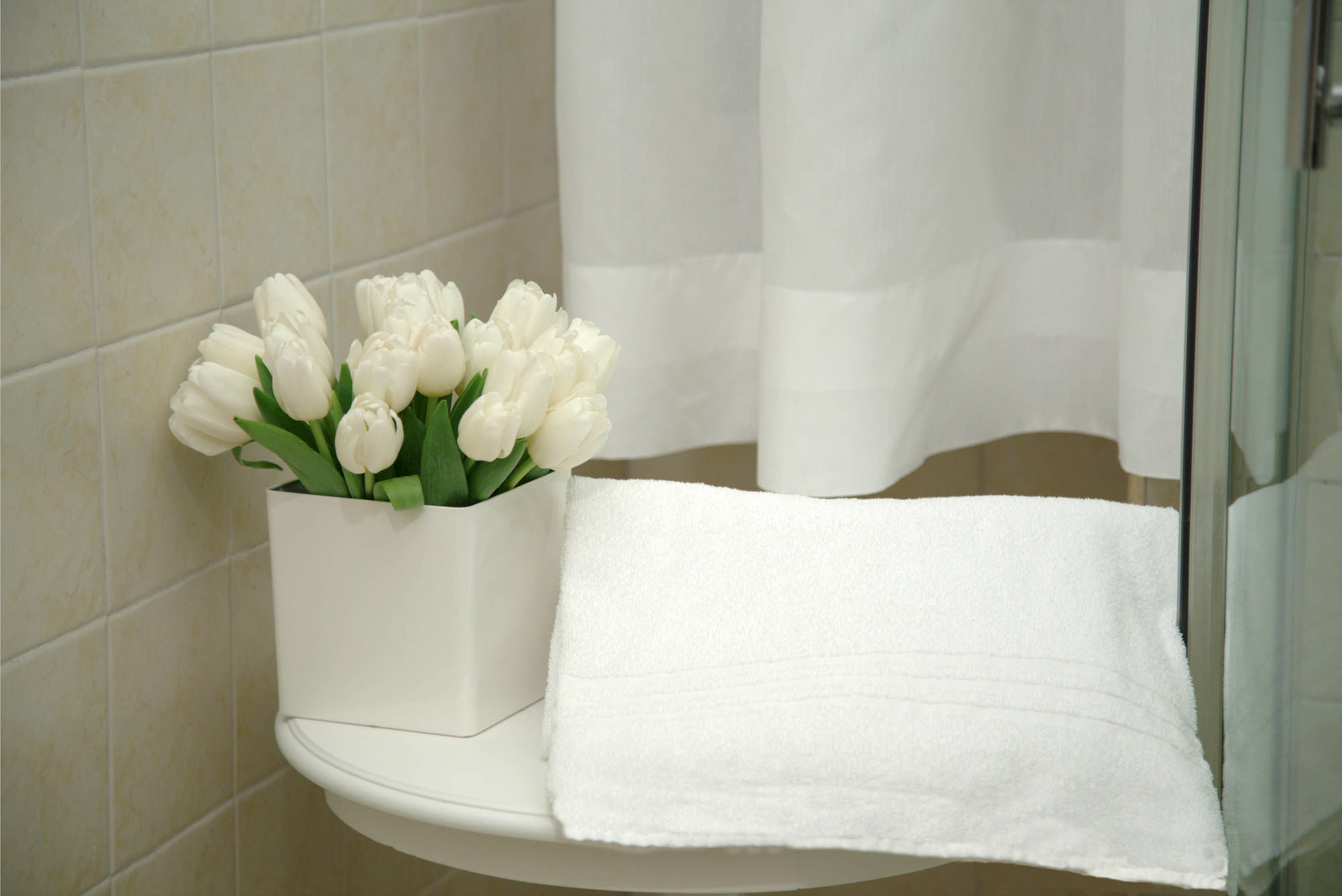 Фото Nobilcasa Suites