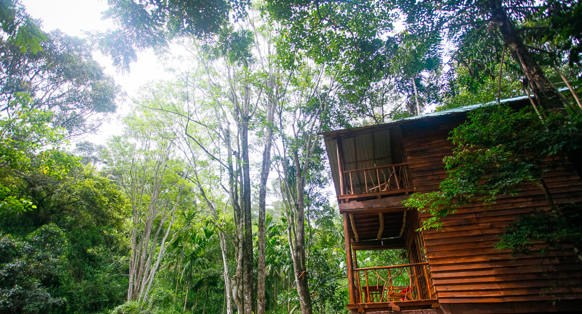 Фото Ella Eco Lodge