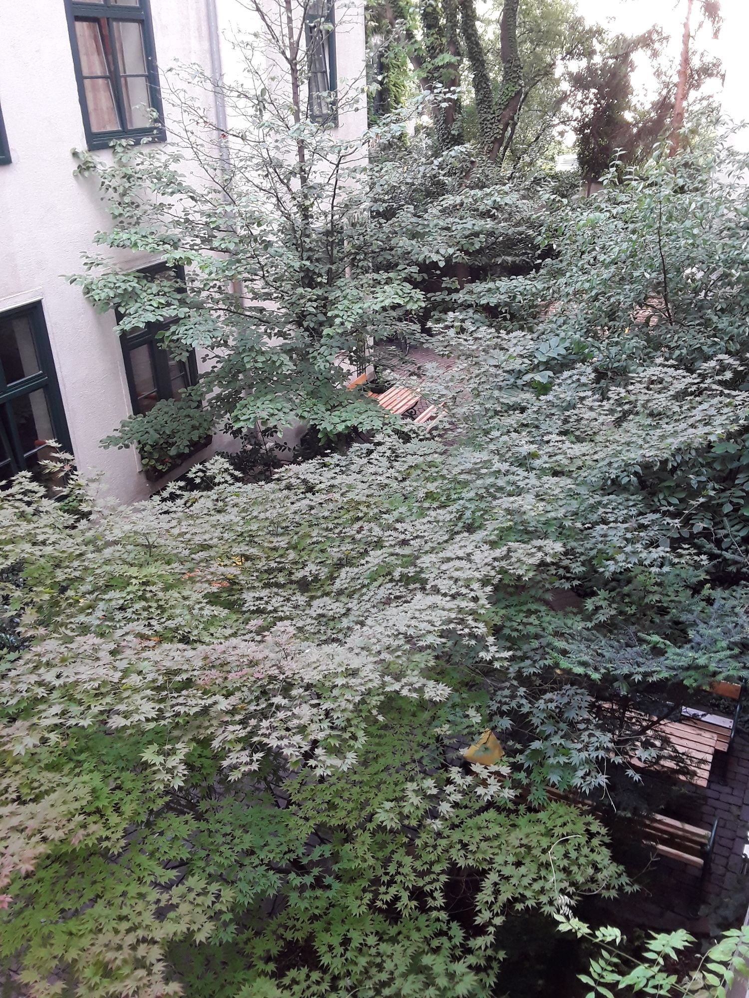 Фото Porzellaneum