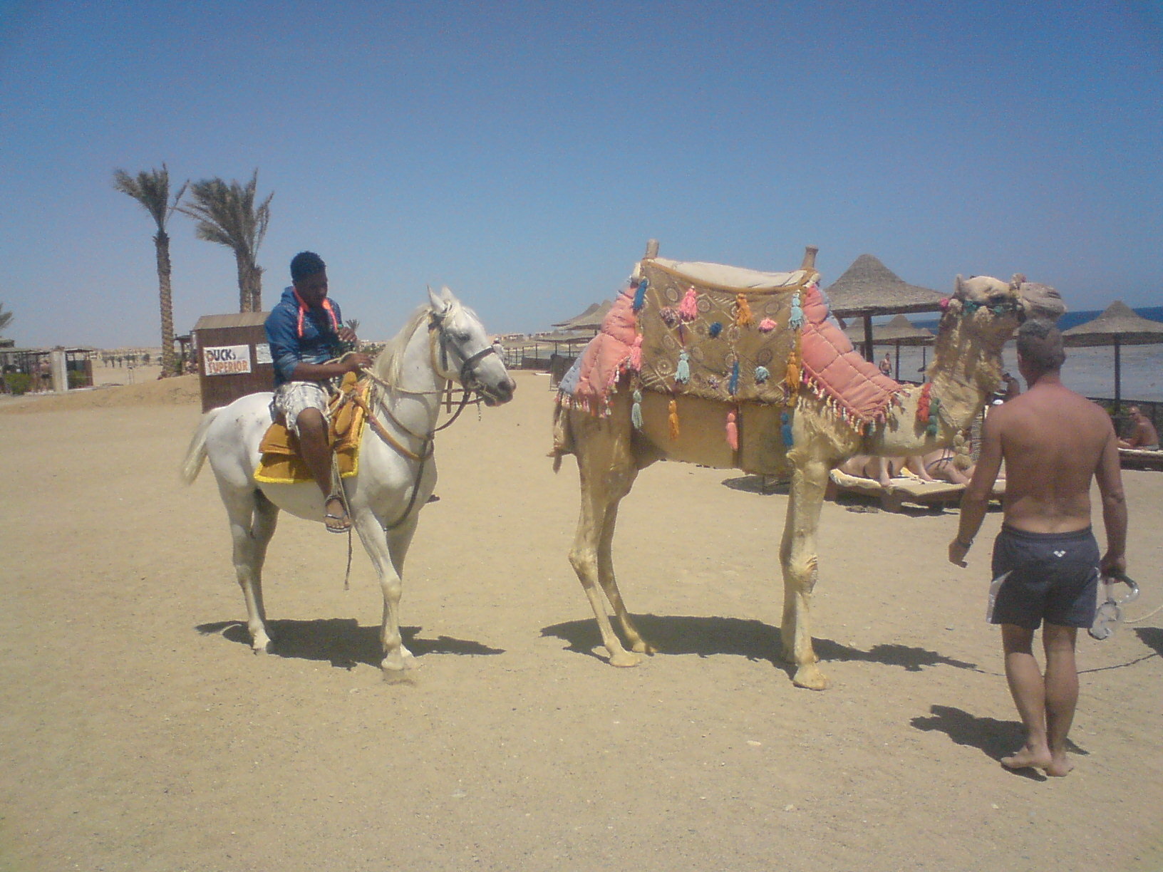 Фото Bliss Nada Beach Resort