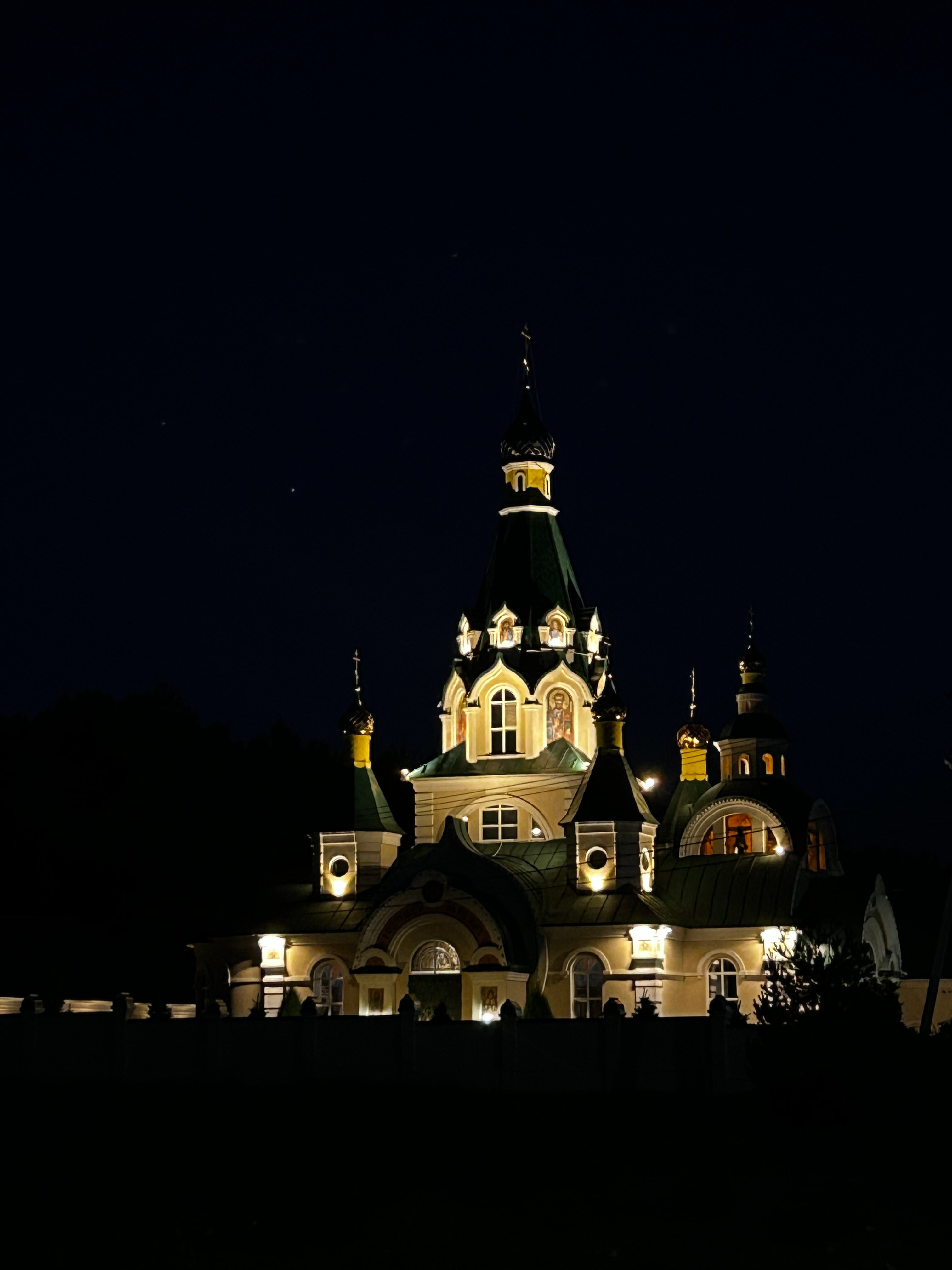 Фото Папоротник