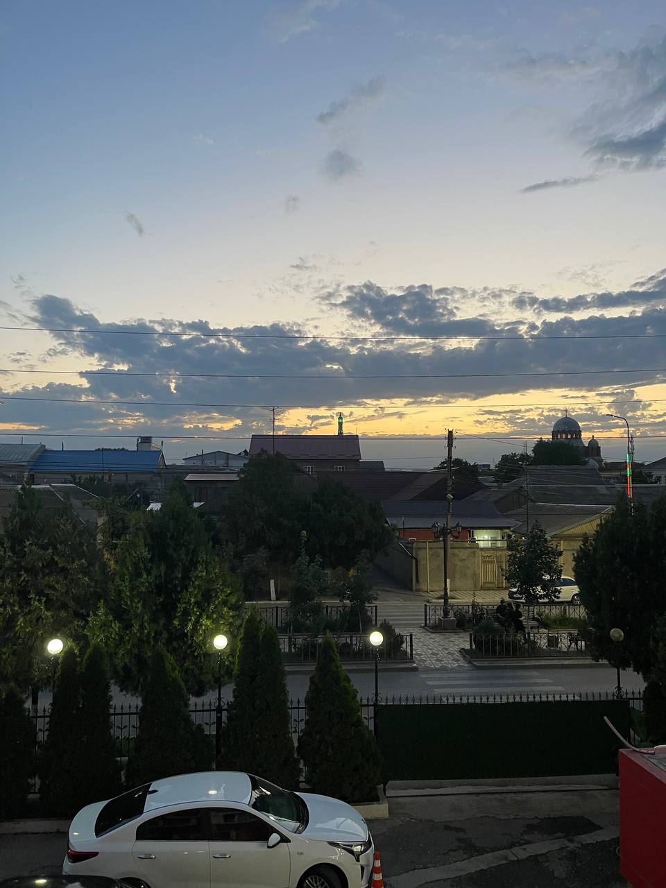 Фото Фламинго