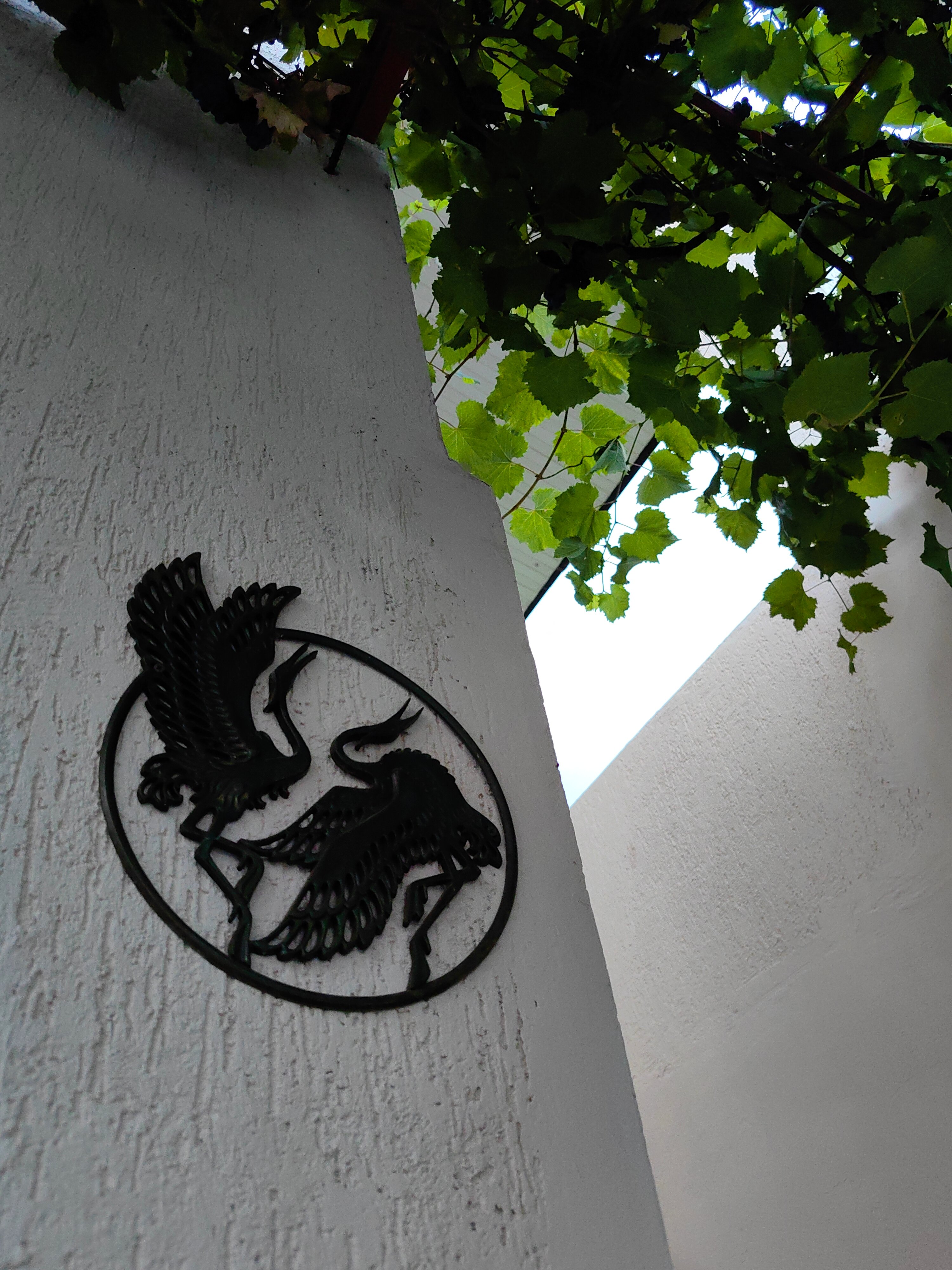 Фото Мебелированные комнаты на Черноморском побережье