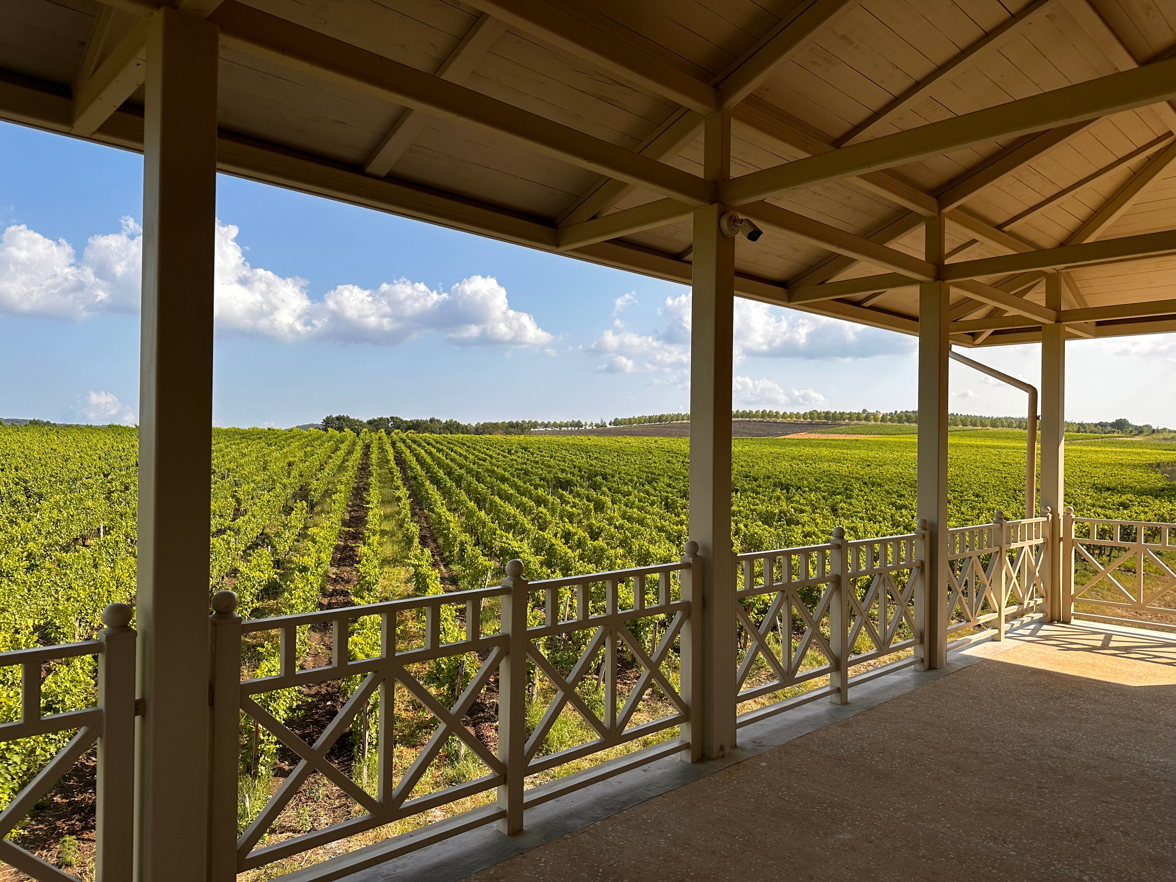 Фото Гермес