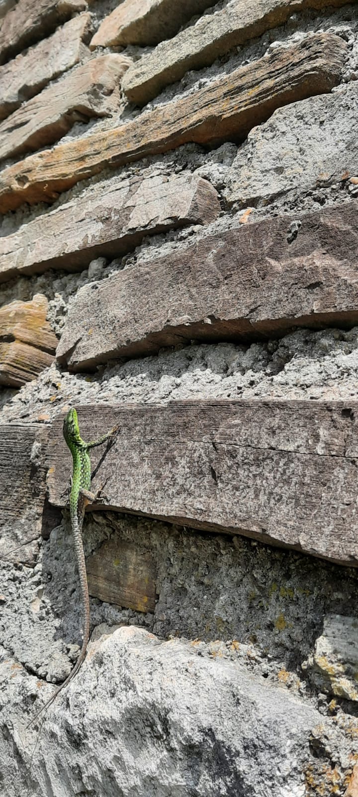 Фото Глобус
