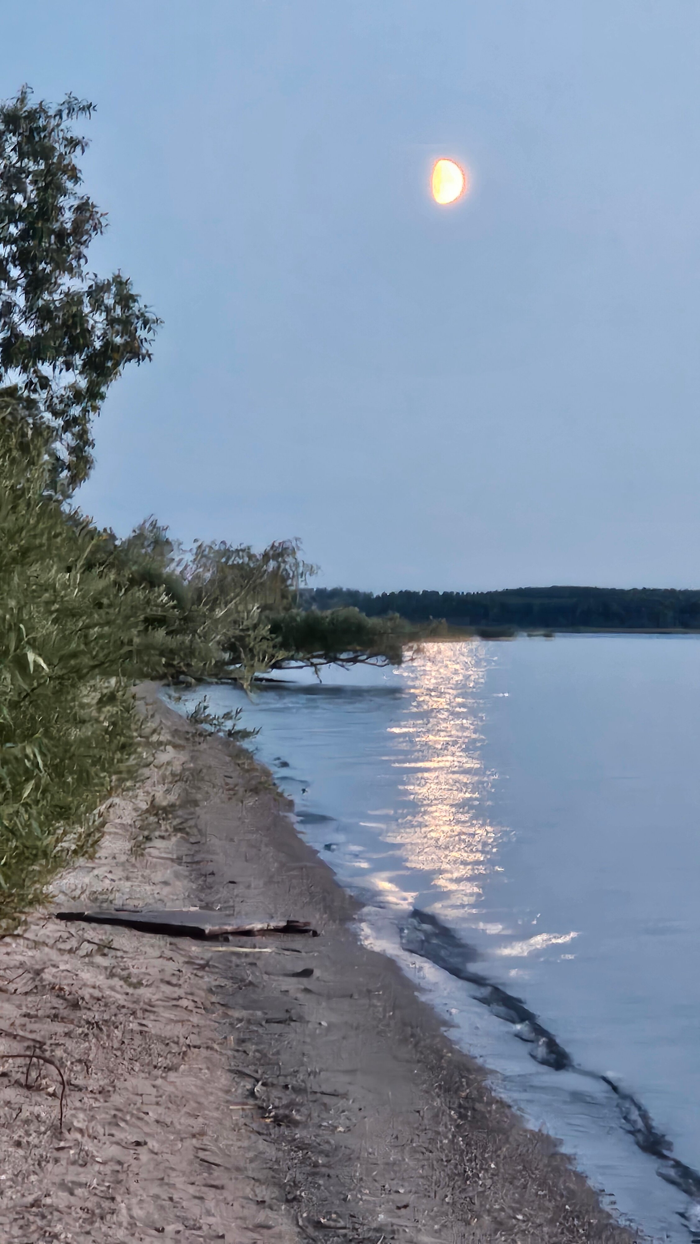 Фото Дривяты