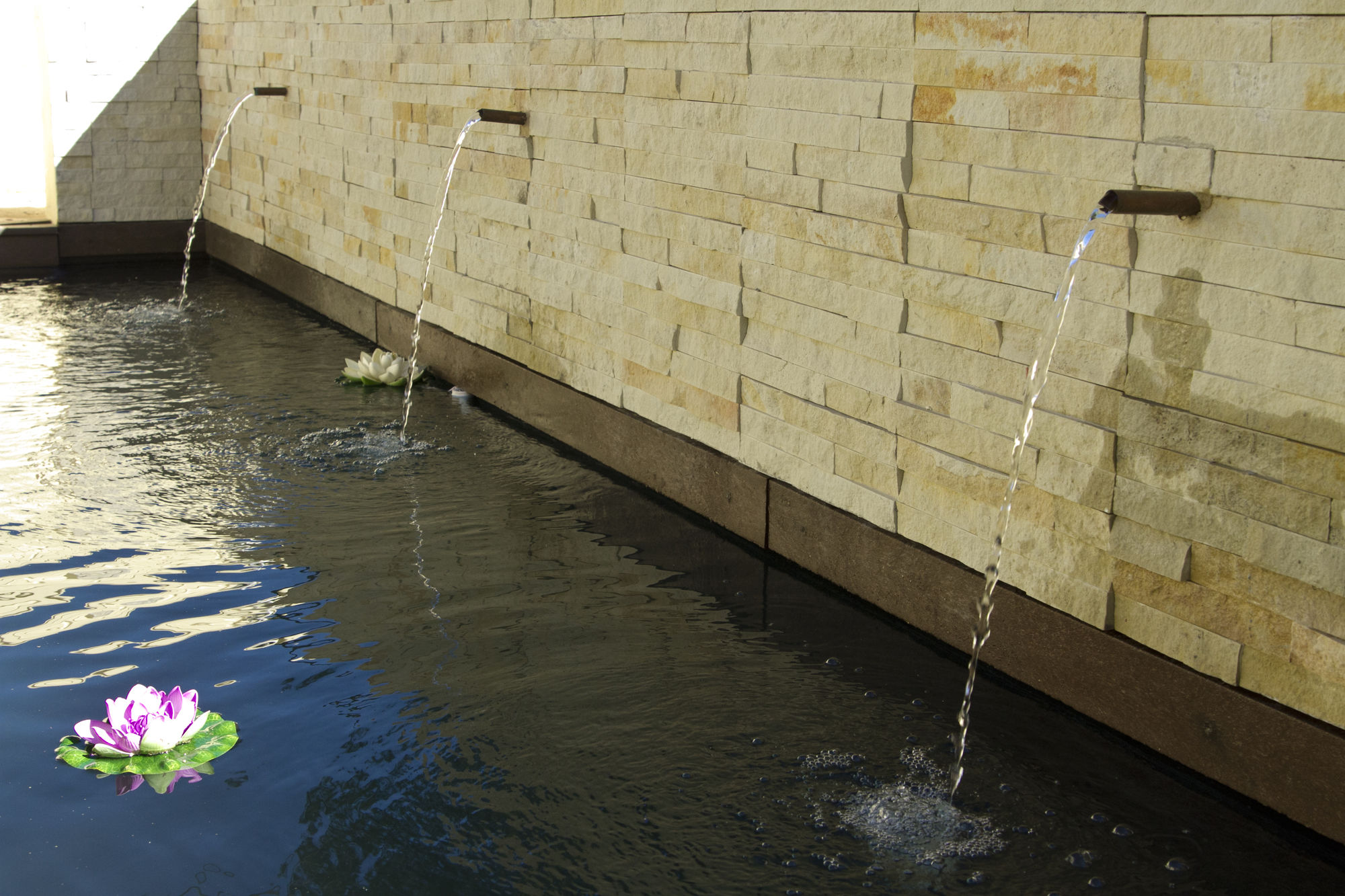 Фото Arum Place Guest House