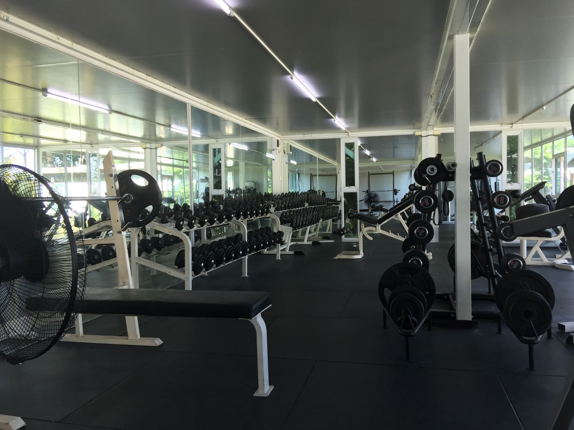 Фото Tree Roots Retreat