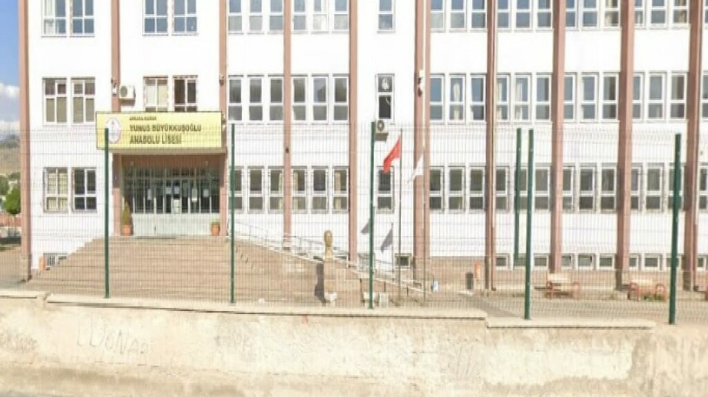 Liceo Yunus Buyukkusolu Anatolian High School, , foto