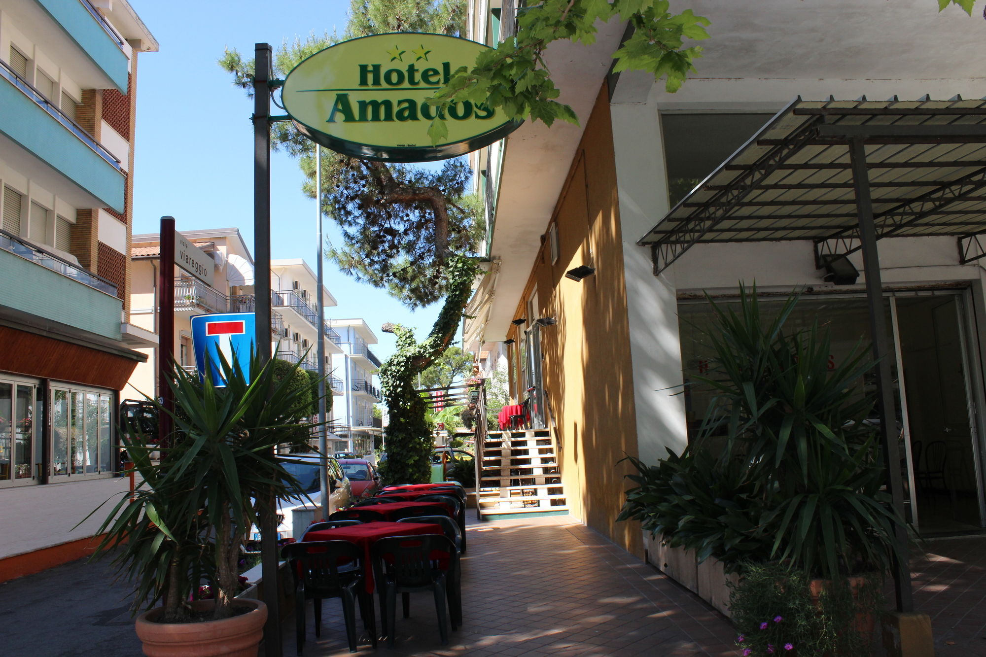 Фото Hotel Amados