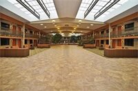 Фото Best Western Plus Raton Hotel