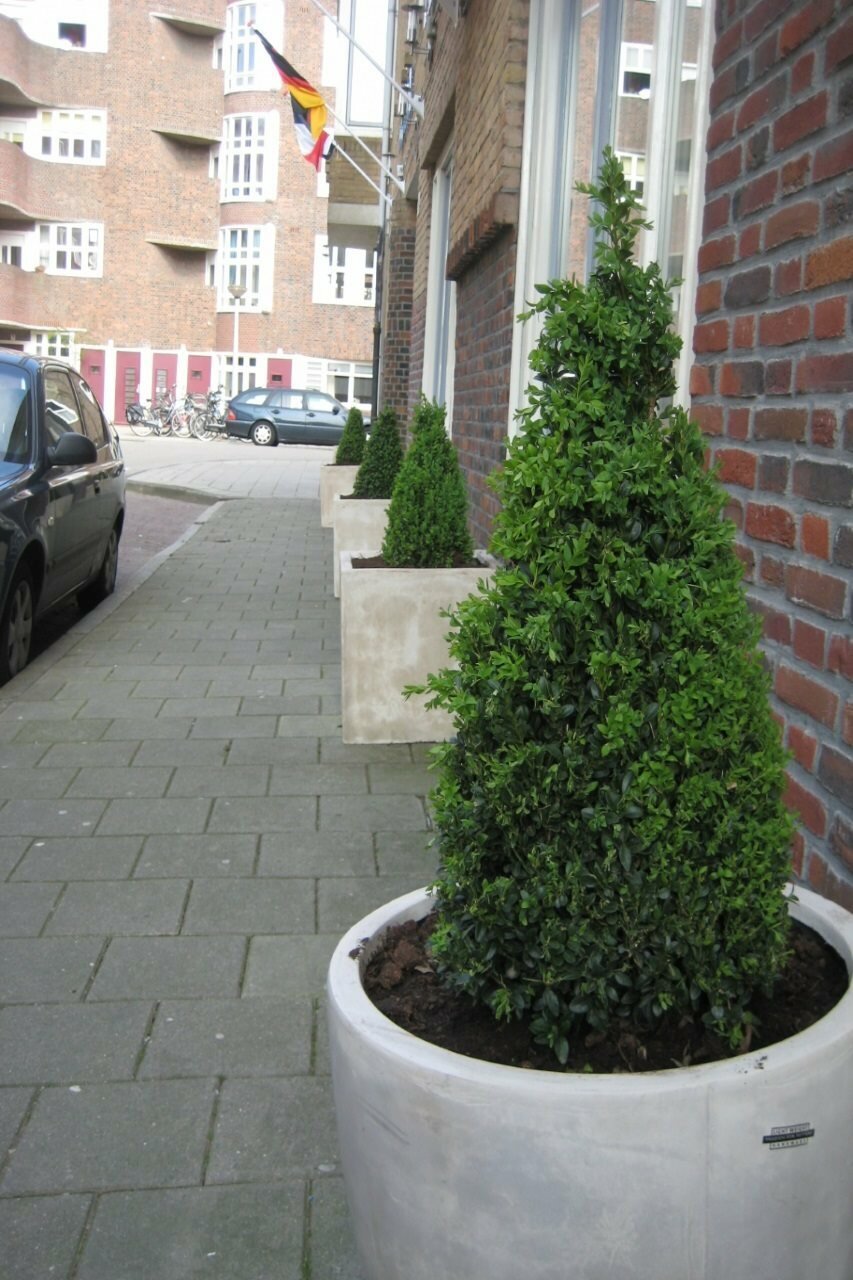 Фото Hotel Flipper Amsterdam