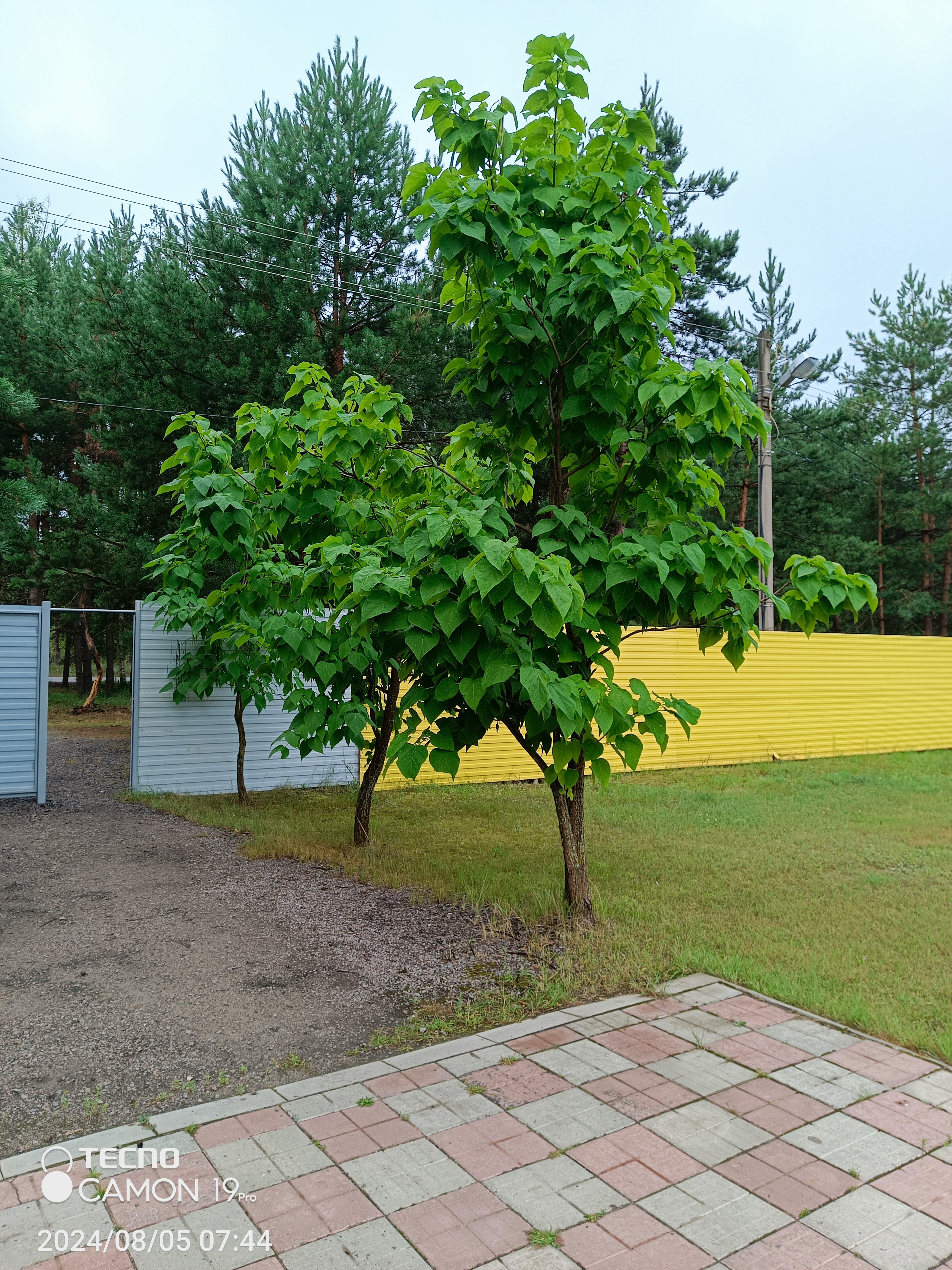 Фото На Заячьей поляне