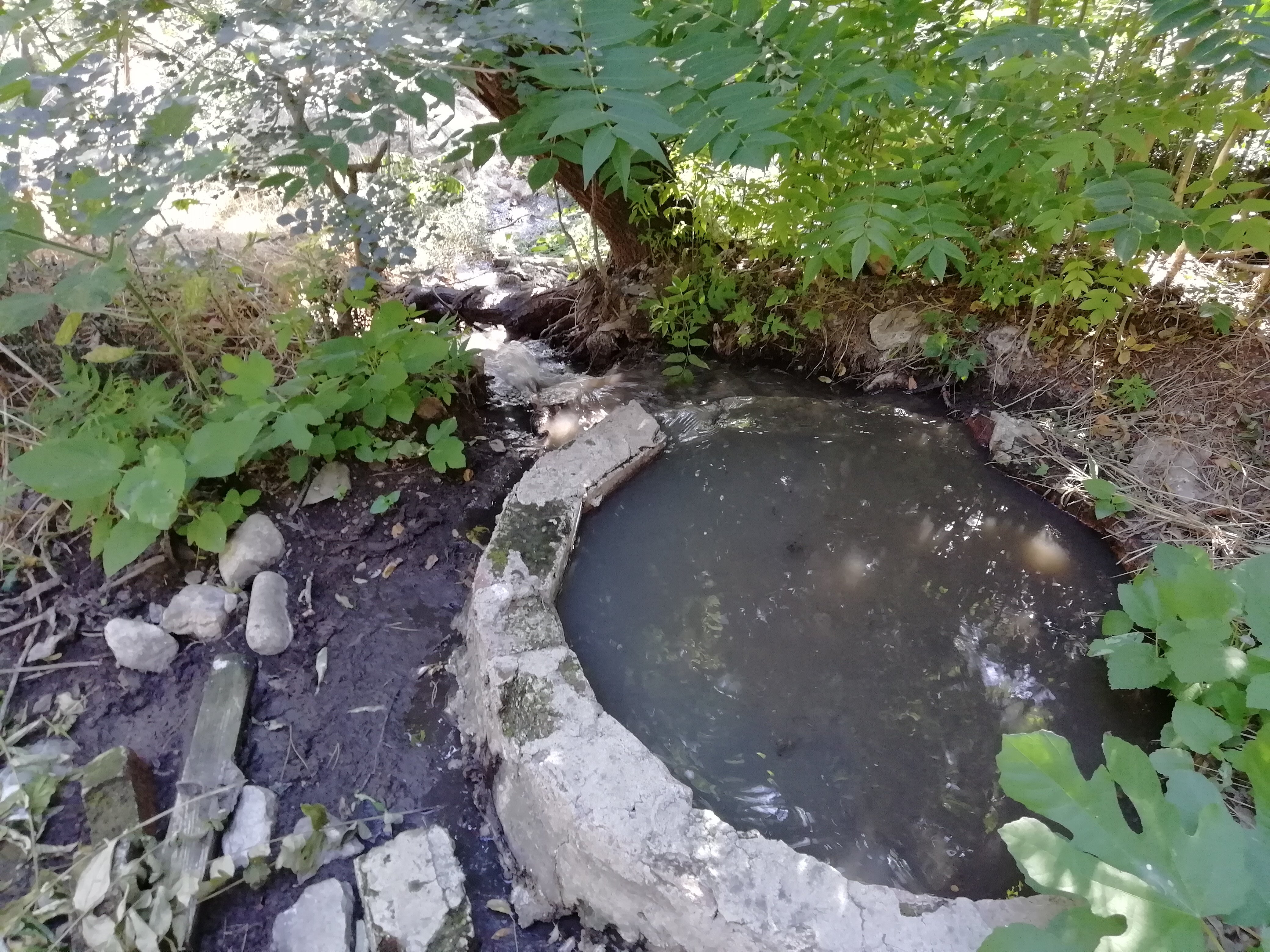 Фото У горы Кошка