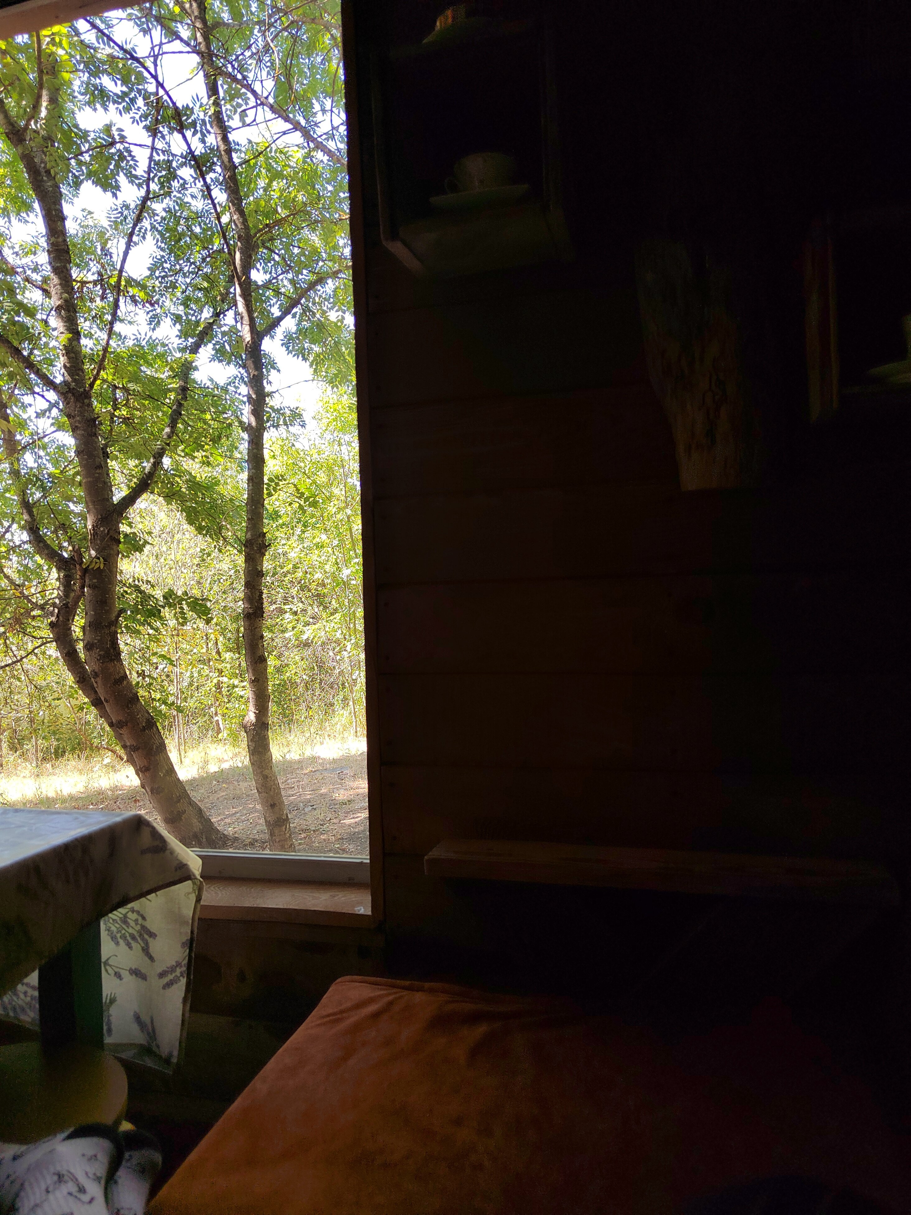 Фото Грушевая вода