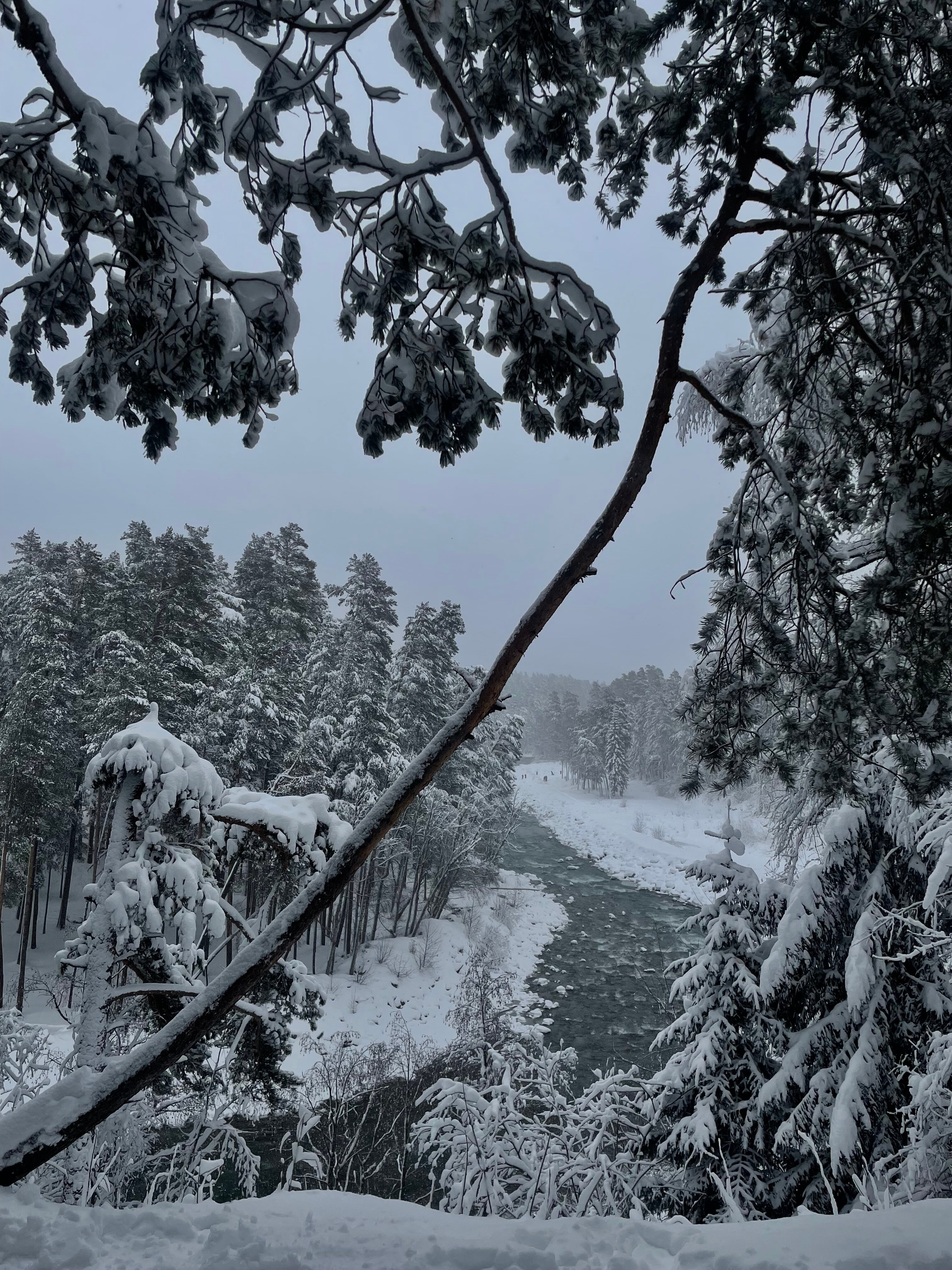 Фото Рассвет