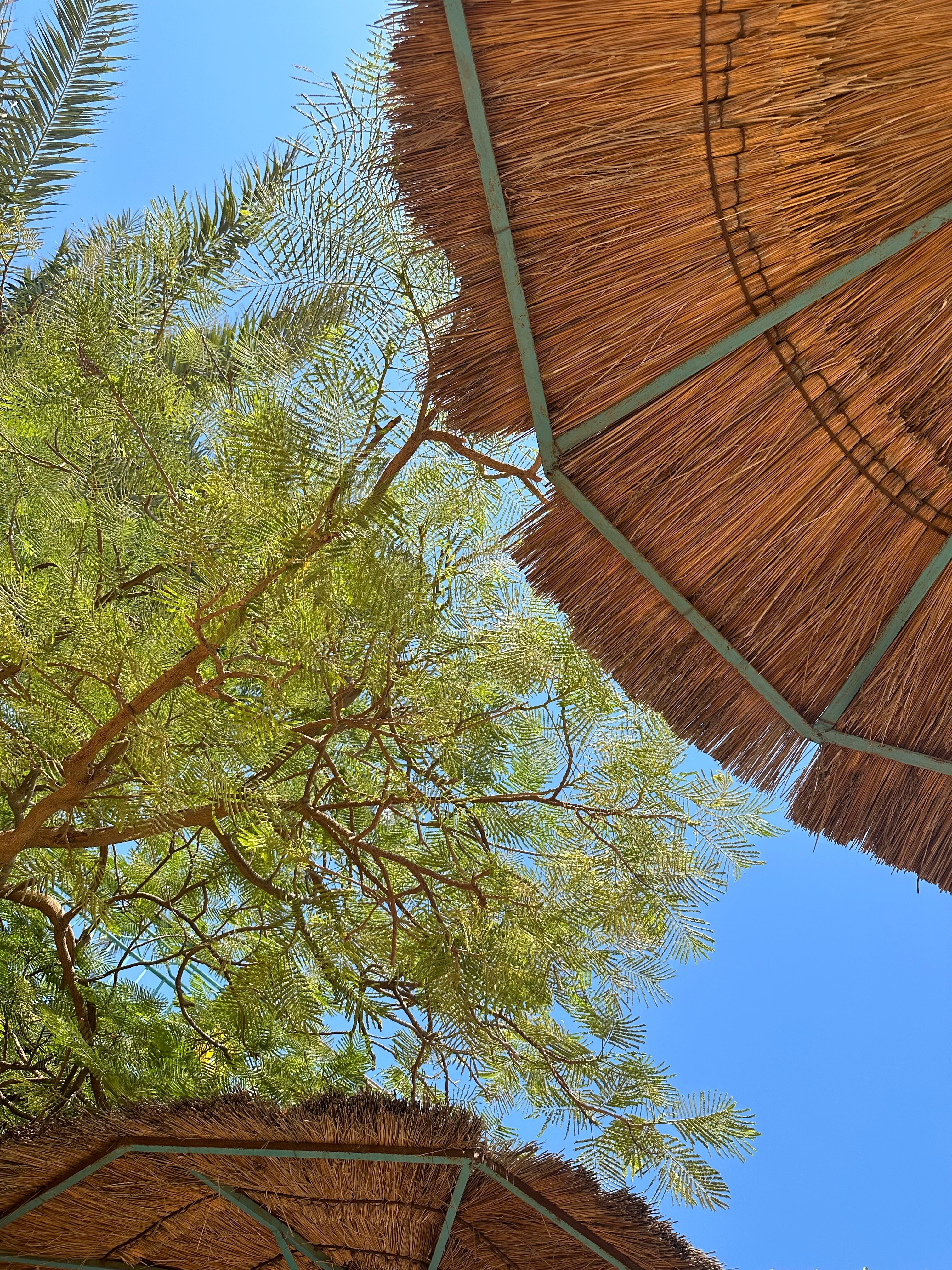 Фото Bella Vista Resort