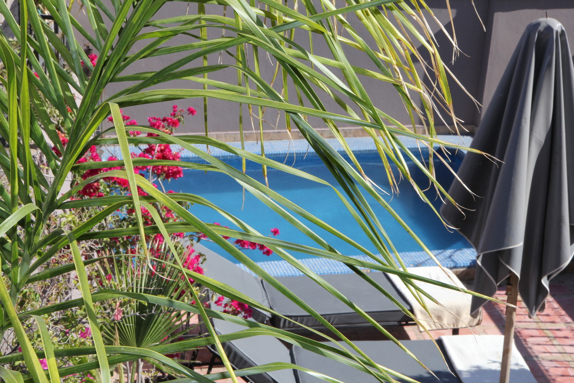 Фото Riad Terra Bahia