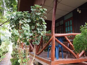 Гостиница Palm Point Village