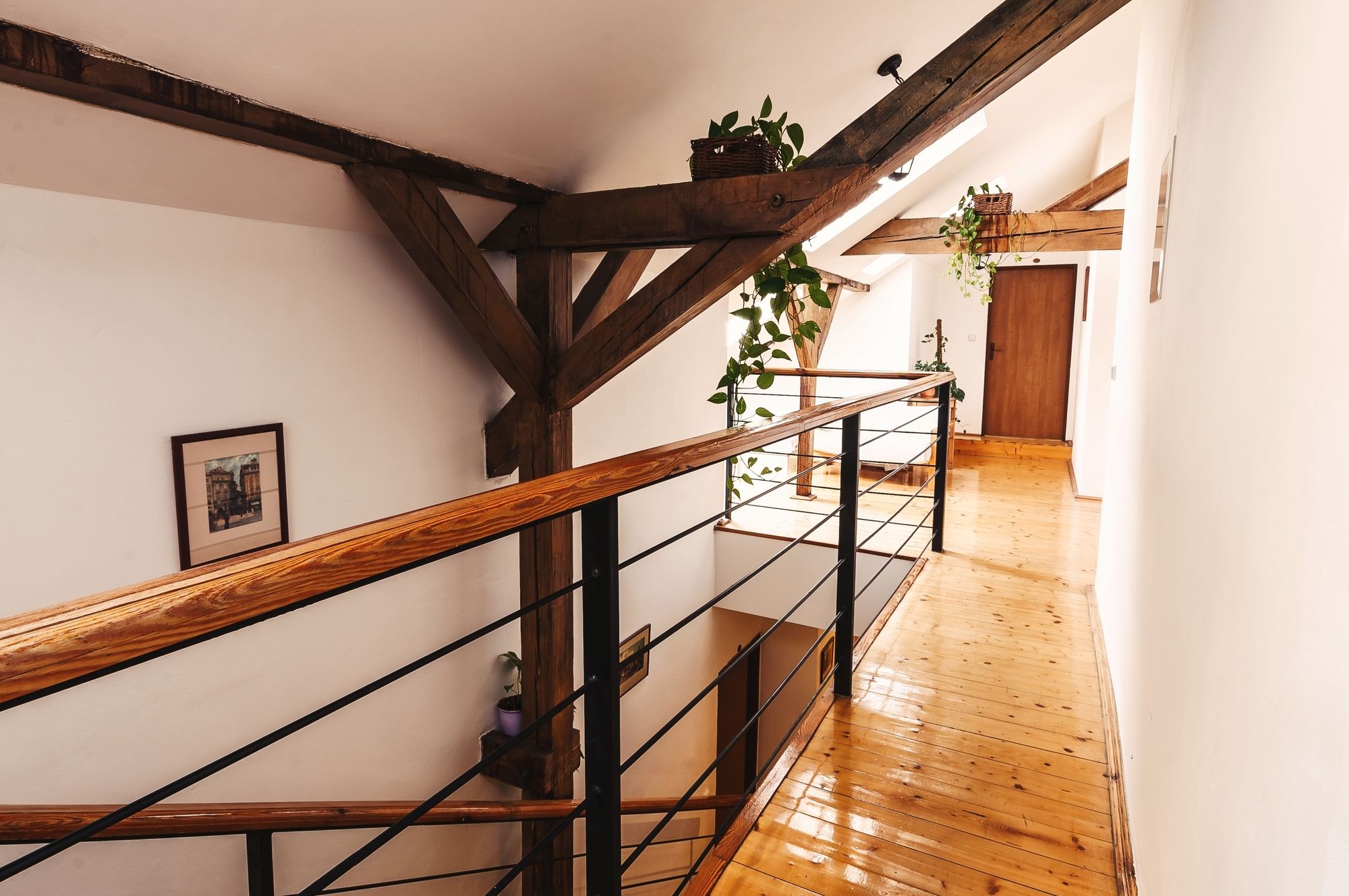 Фото 181375418466