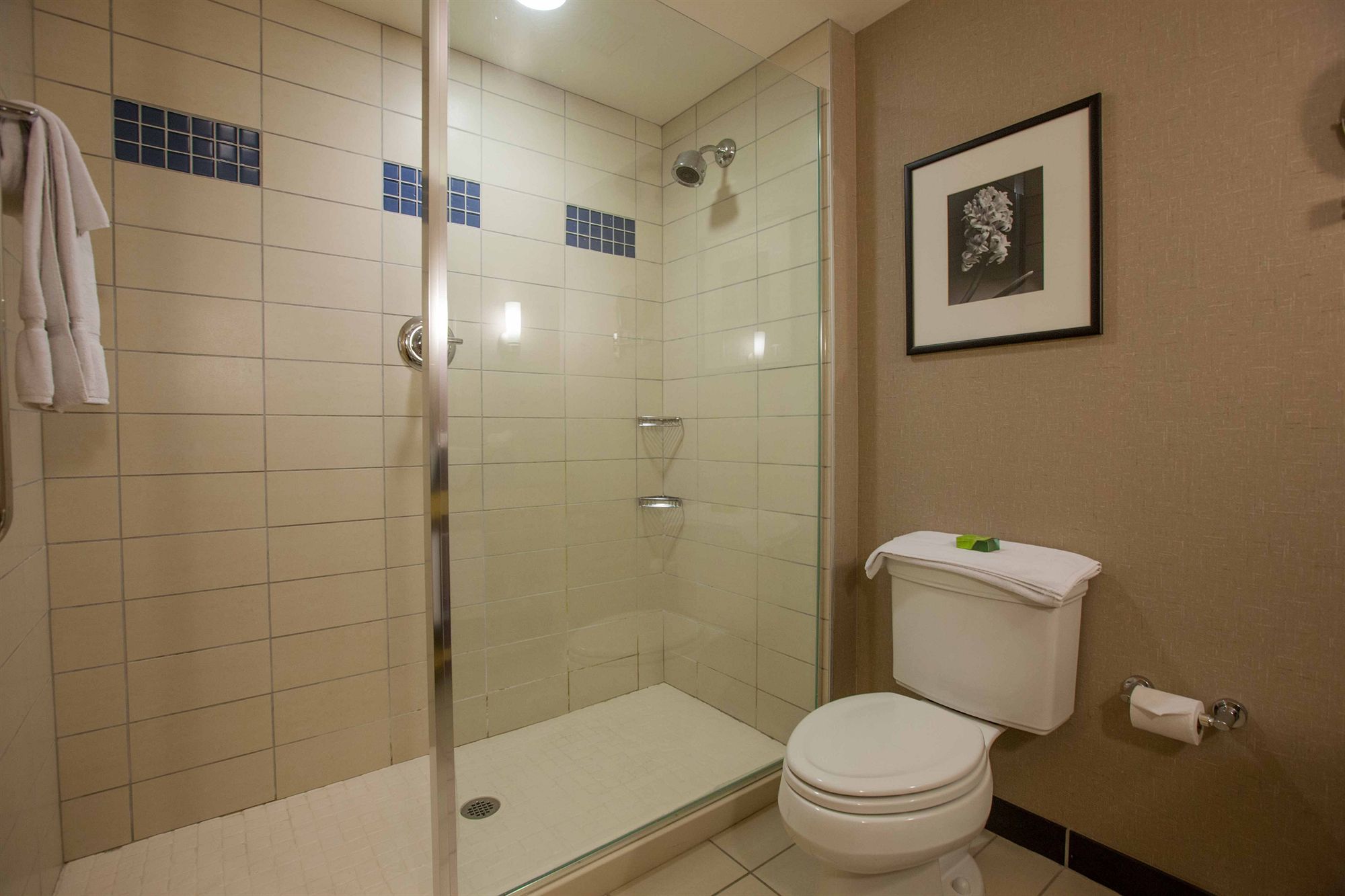 Фото Wyndham Noblesville