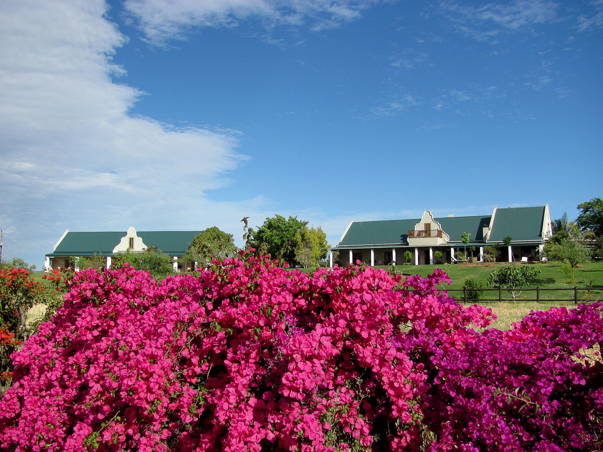 Фото Mooiplaas Guesthouse