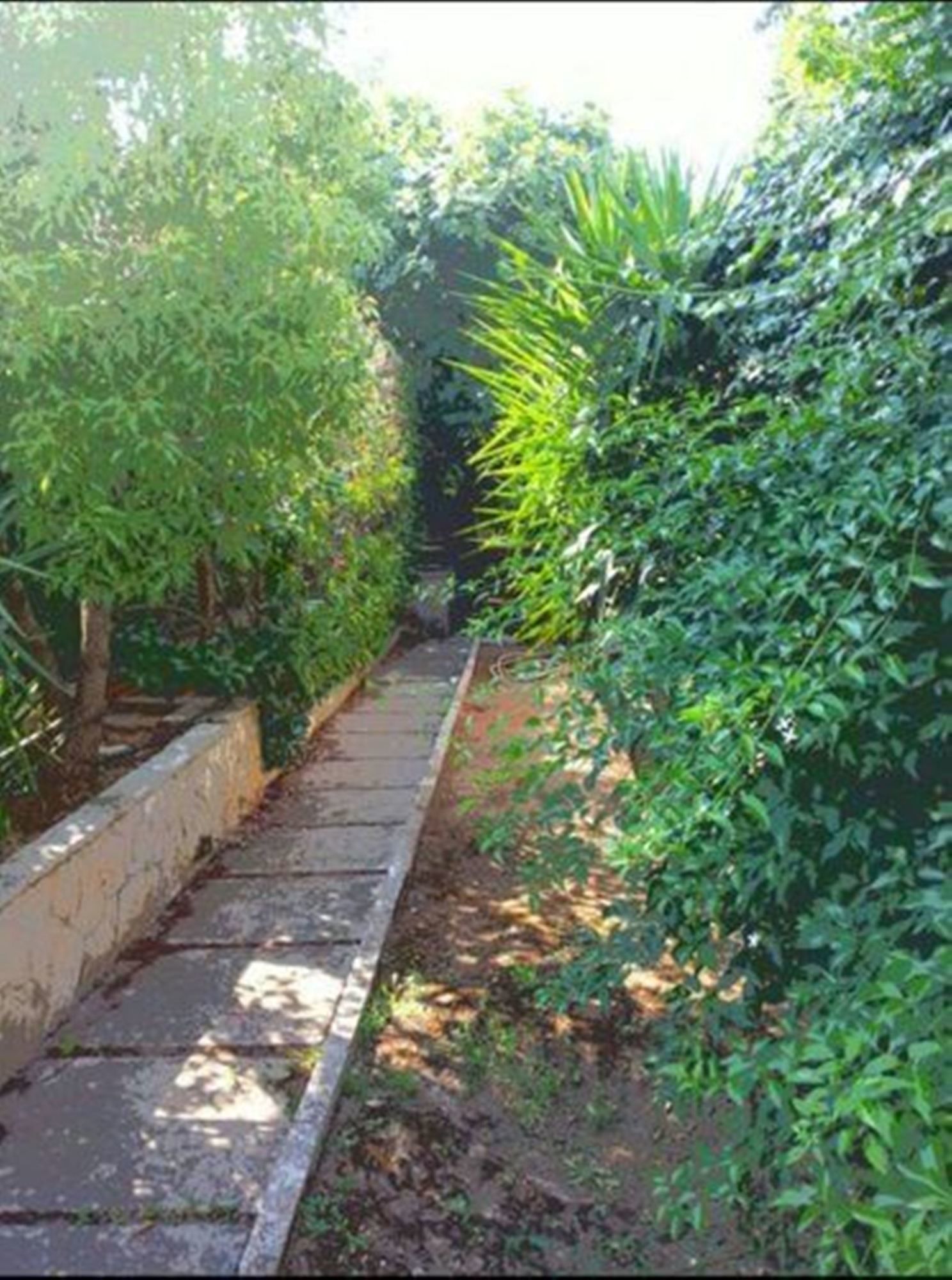 Фото B&b A Casa di Joy