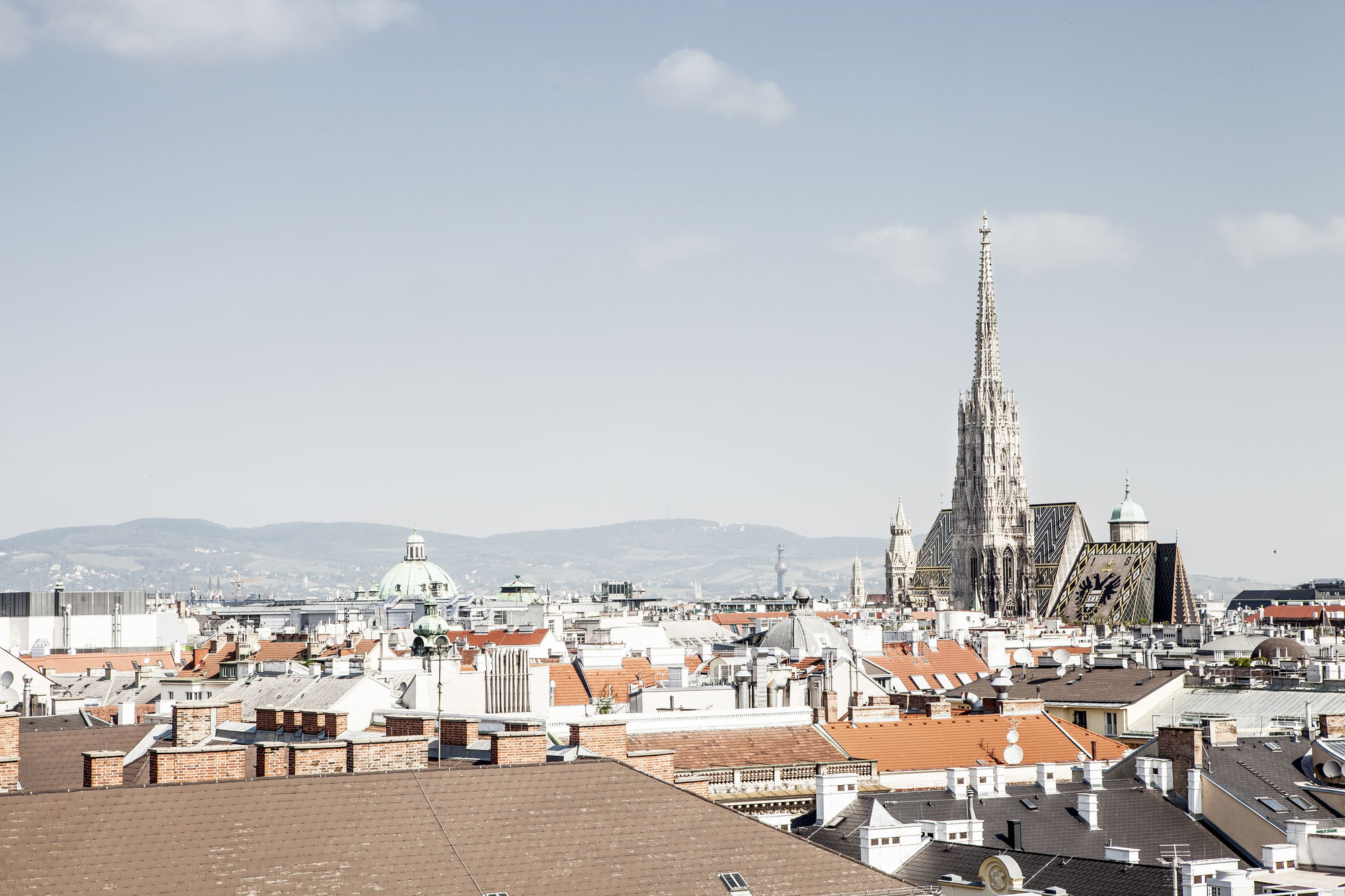 Фото Grand Ferdinand 