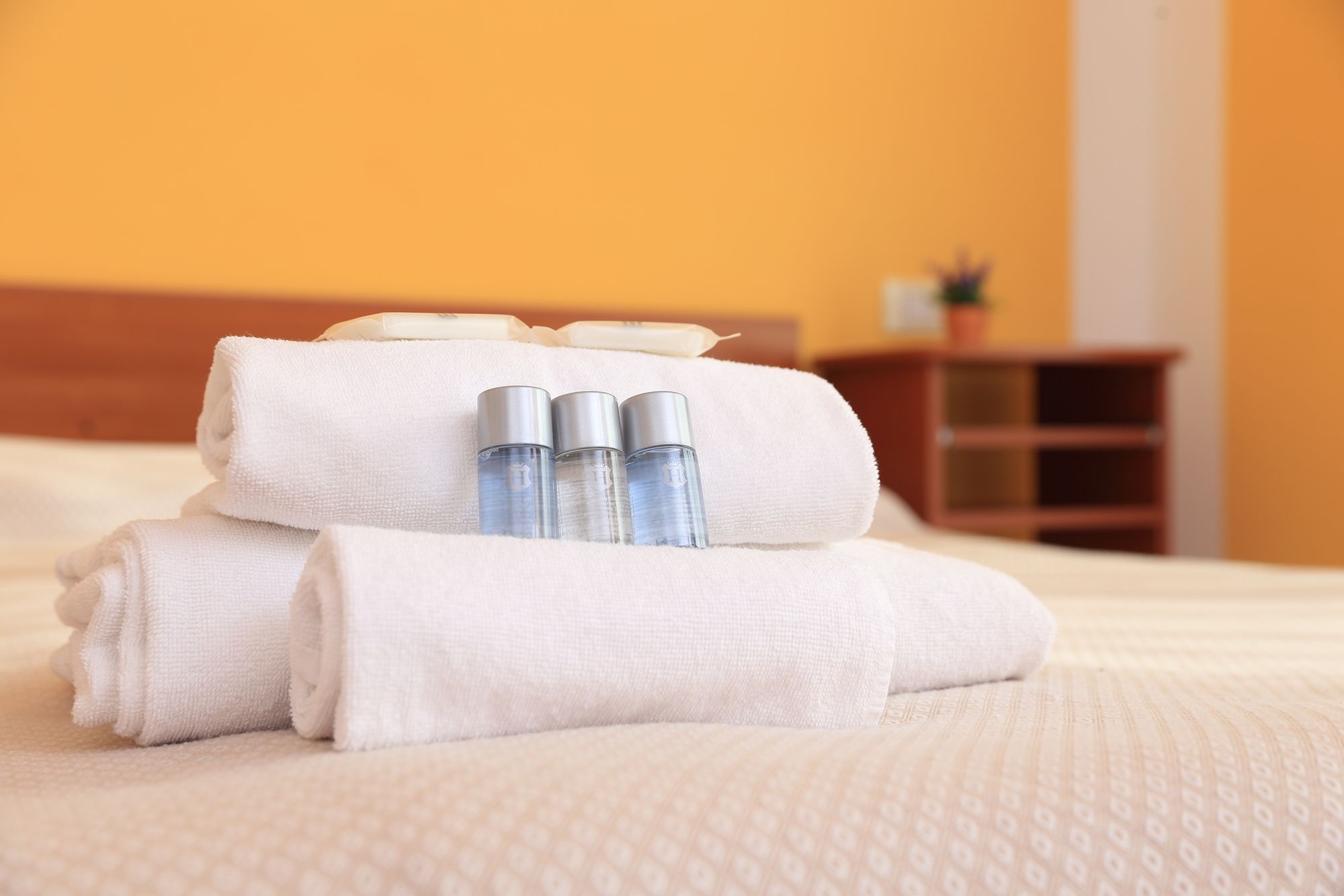 Фото Hotel Villa Piras