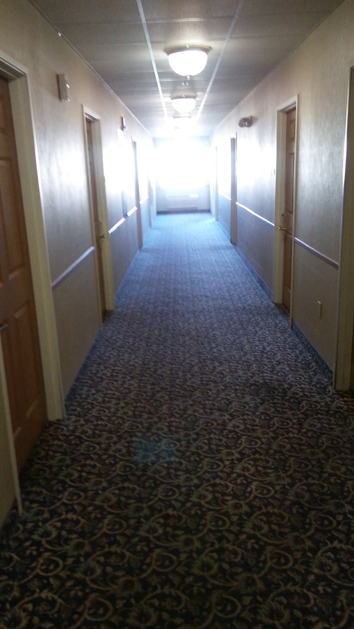 Фото GreenTree Inn Denver Tech Center