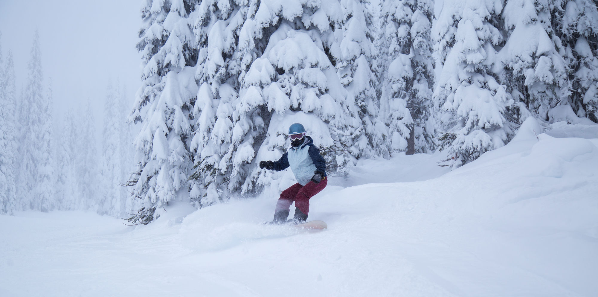 Фото Best Western Rocky Mountain Lodge