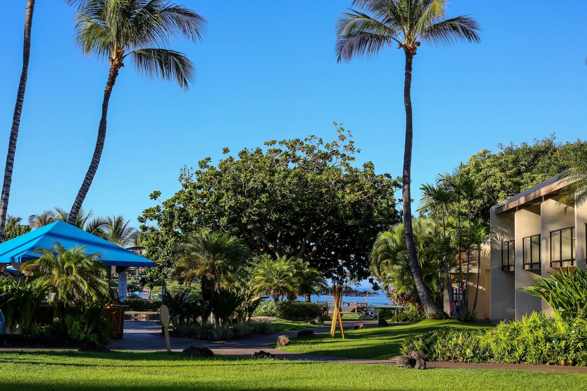 Фото Wailea Beach Resort - Marriott, Maui