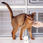 Клевер (ulitsa Timiryazeva, 10/4) ، عيادة بيطرية