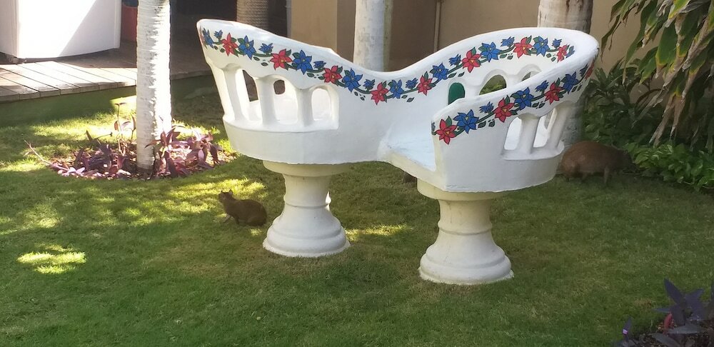 Фото Hotel Posada Sian Ka'an