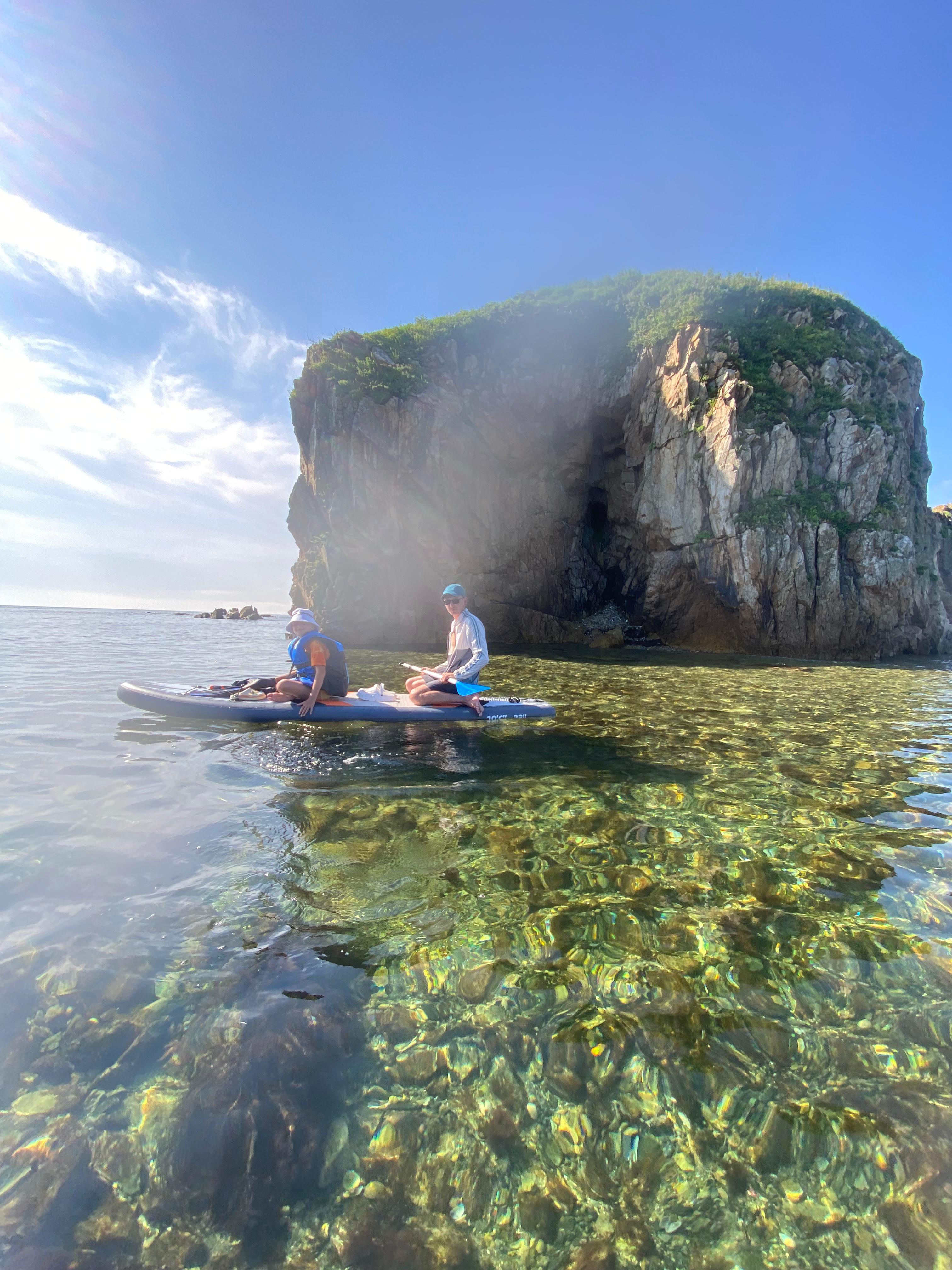 Фото Зелёная полянка