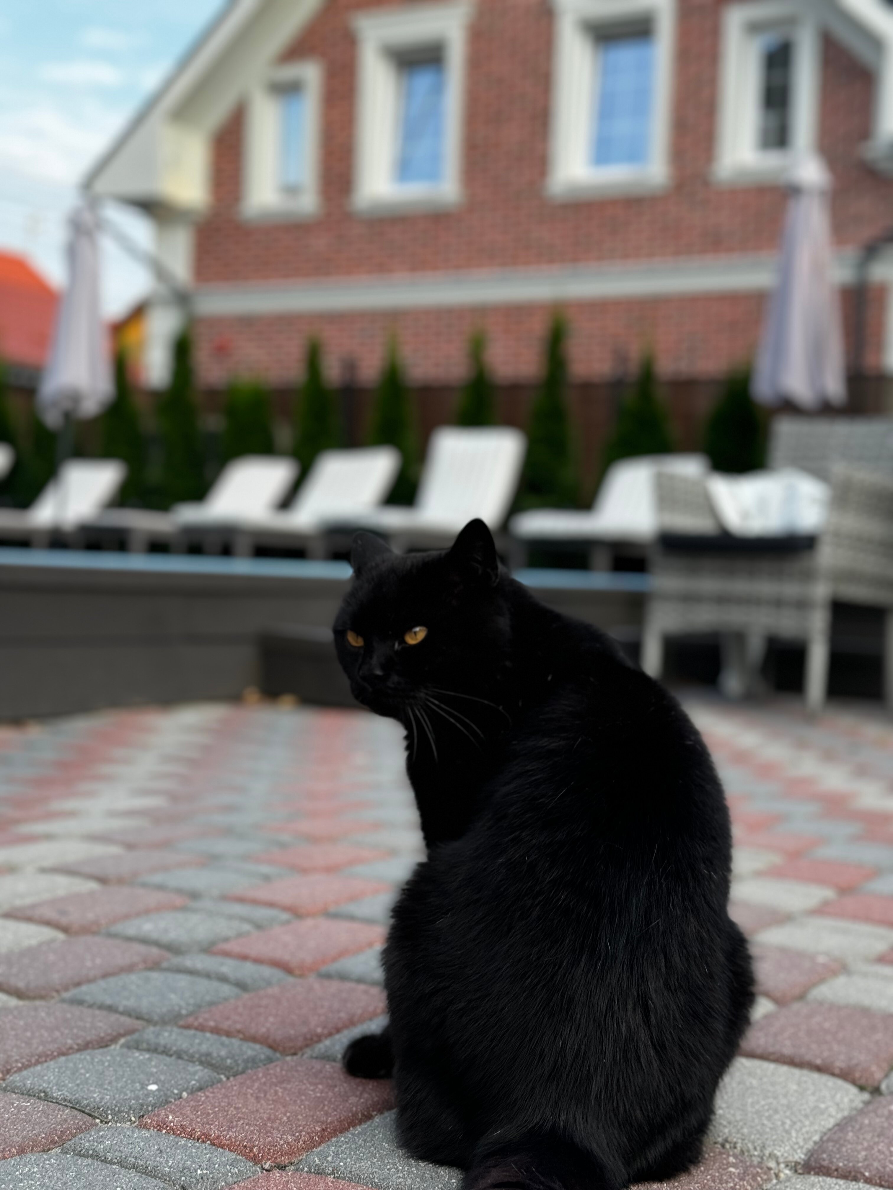 Фото Villa History