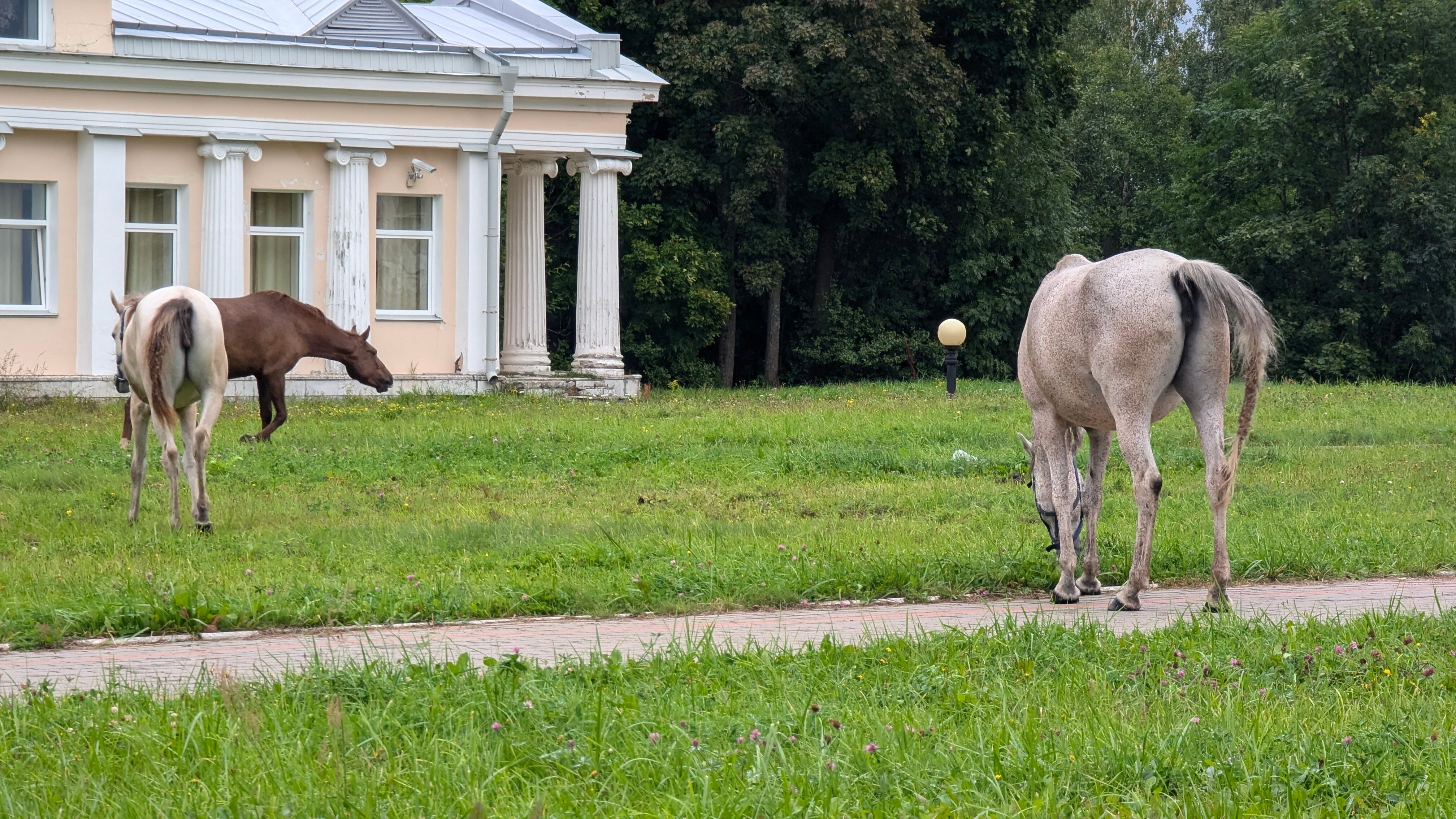 Фото Belveder Hotel&Spa