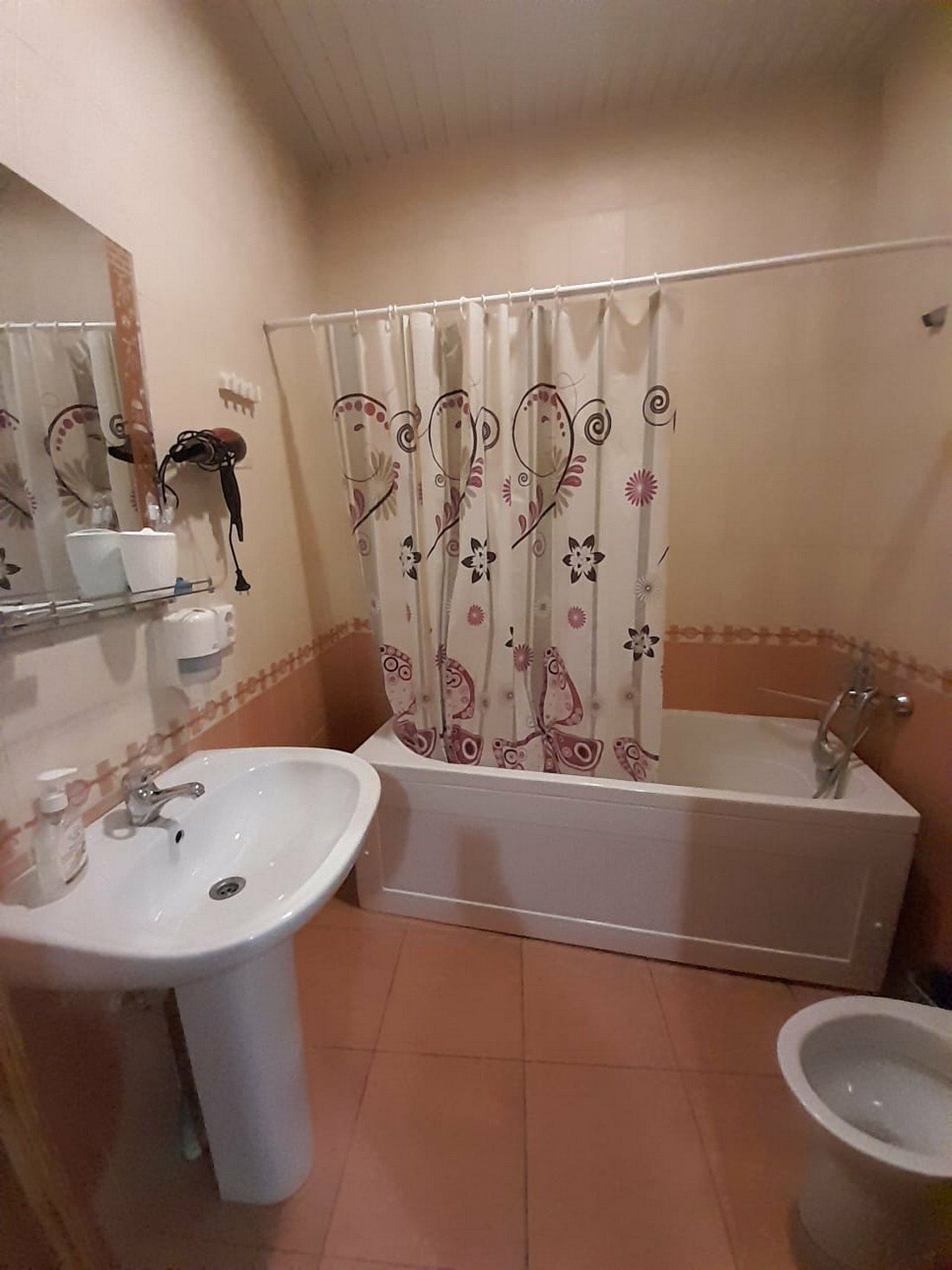 Фото Ковчег