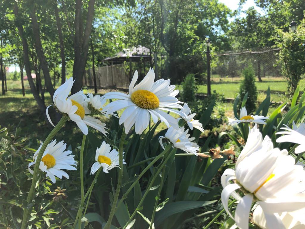 Фото АртОтель