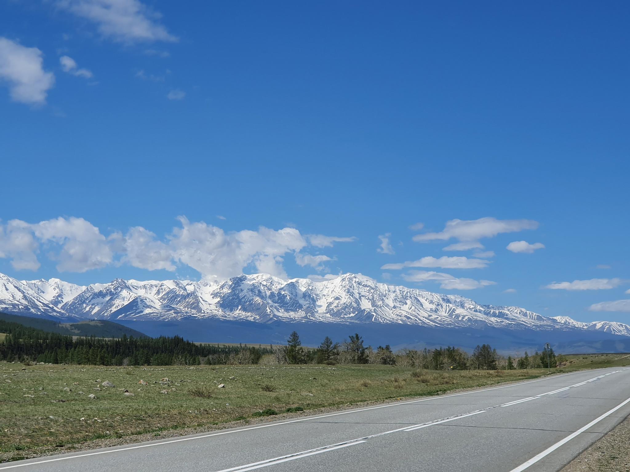 Фото АлтайЭкоКедр