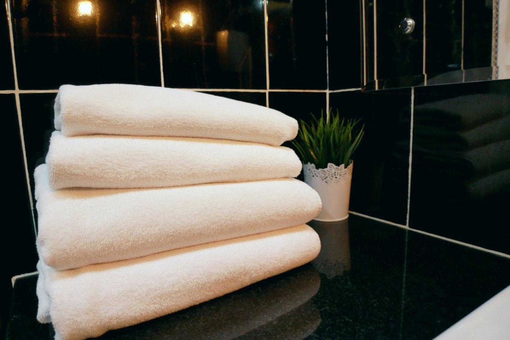 Фото Ковчег