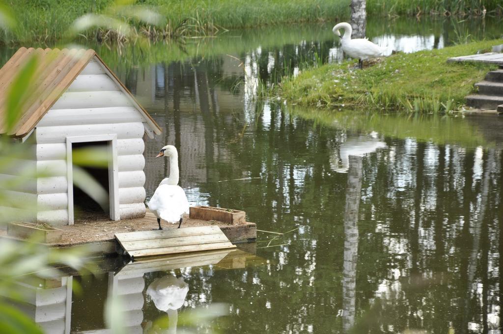 Фото Эко Парк