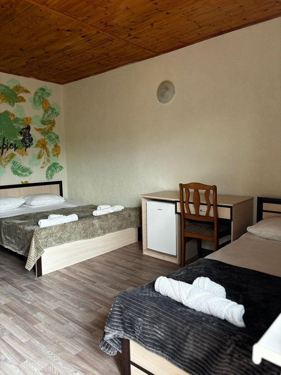 Фото Тропики