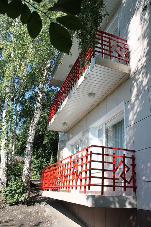 Фото Рыжий пёс