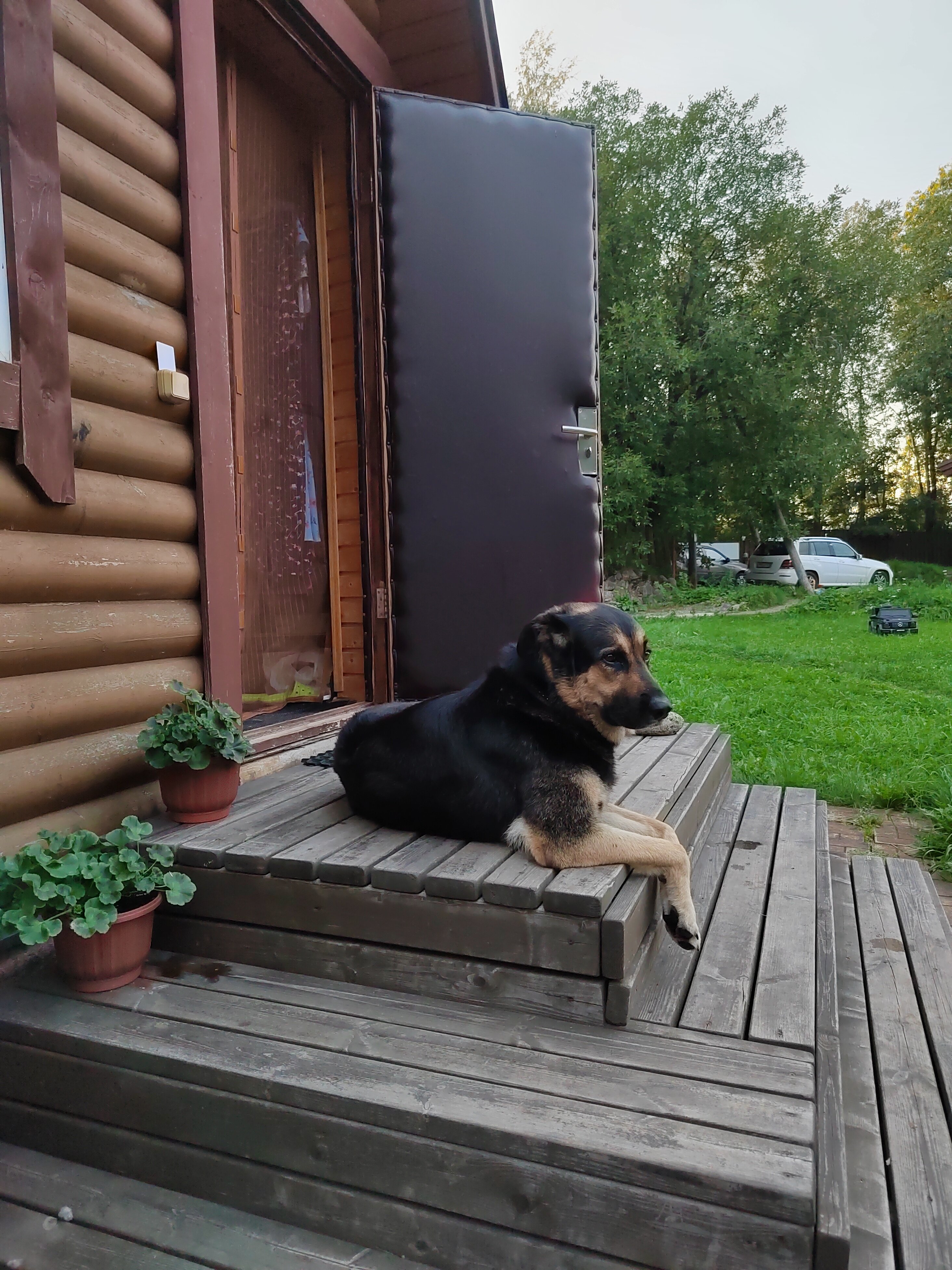 Фото Зимняя сказка