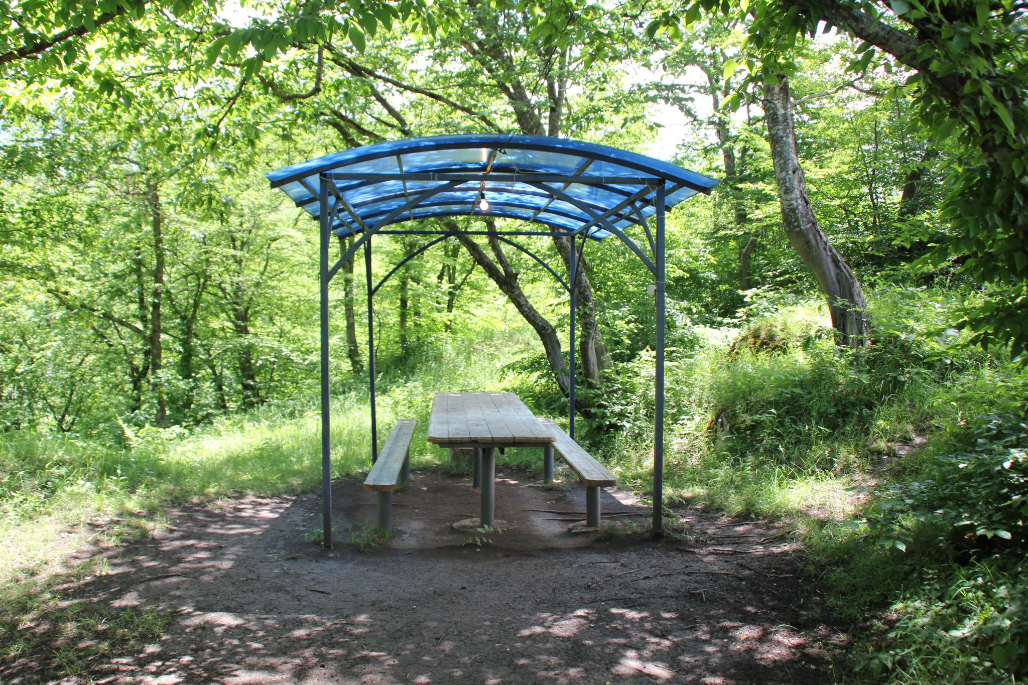 Фото Дубовая Роща