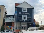 AppTrade (Abay Avenue, 161), phone repair
