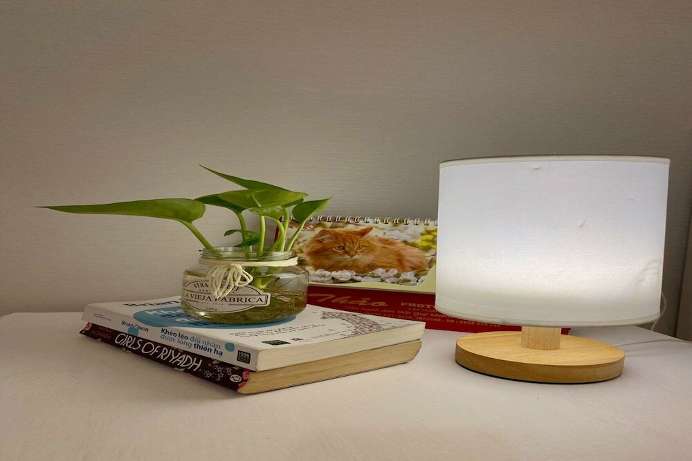 Фото Crowne Bui Vien Hotel