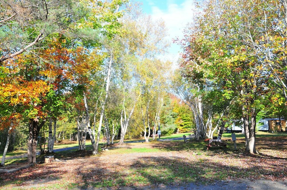 Фото Fundy Spray Campground